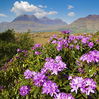 Muldoanich Bed and Breakfast, Gairloch
